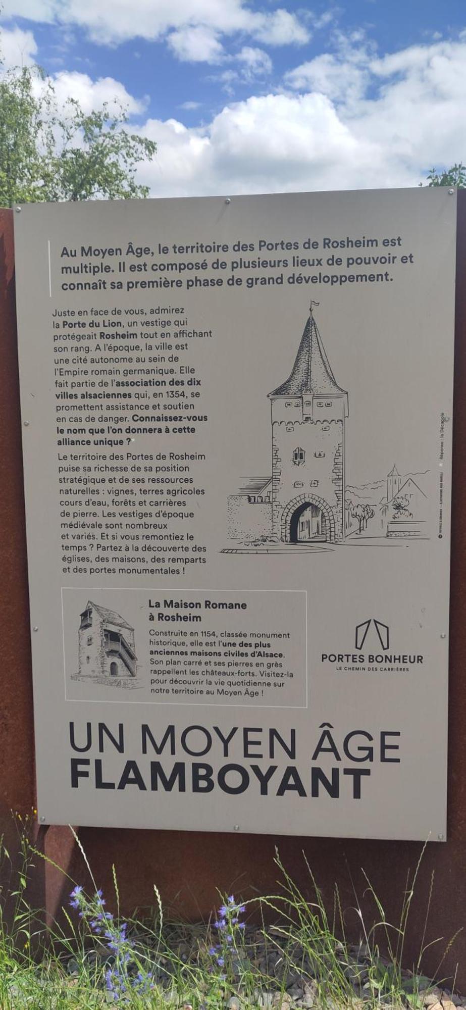 La Maisonnette Bleue, Eco-Logis Equipe De Toilettes Seches Rosheim Extérieur photo